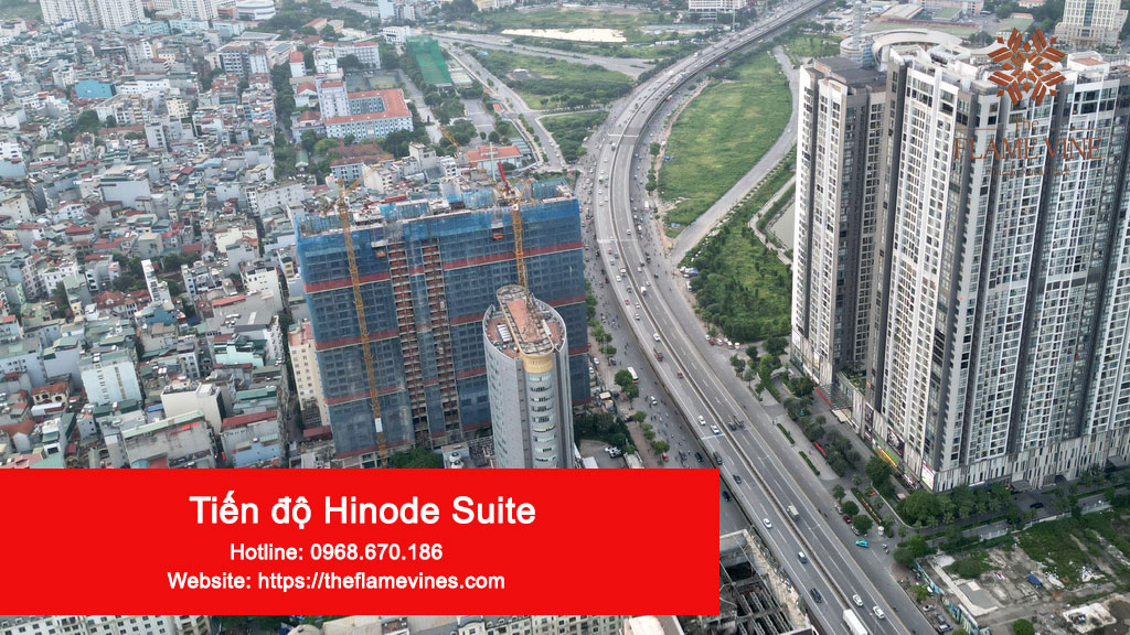 tien-do-hinode-suite